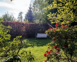 backyard-part-shade